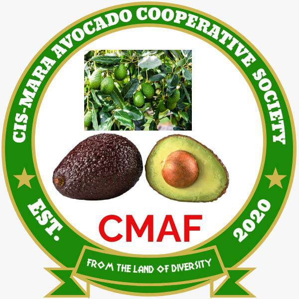 Cis Mara avocado cooperative society